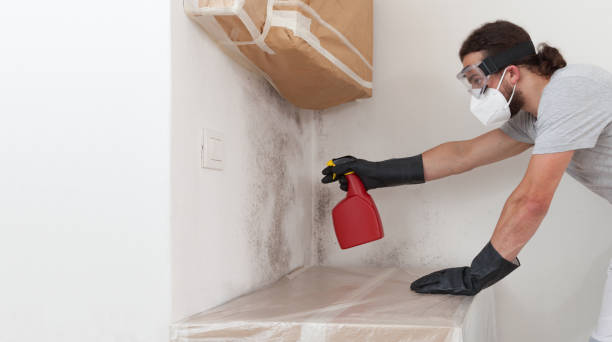 Professional Crawl Space Mold Remediation technician working in Portland, TN