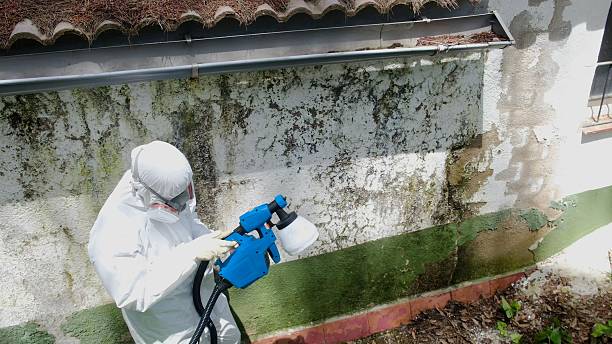 Top rated local Crawl Space Mold Remediation specialists in Portland, TN
